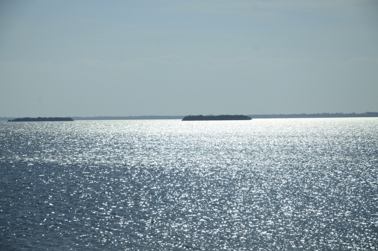 .resize_DSC_9035.JPG