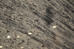 .resize_DSC_8698.JPG