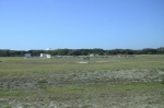 .resize_DSC_8839.JPG