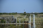 .resize_DSC_8889.JPG