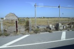 .resize_DSC_8891.JPG
