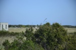 .resize_DSC_8893.JPG