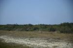 .resize_DSC_8896.JPG