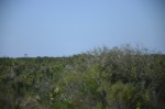 .resize_DSC_8897.JPG