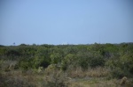 .resize_DSC_8898.JPG