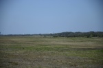 .resize_DSC_8899.JPG