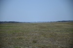 .resize_DSC_8900.JPG