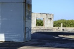 .resize_DSC_9007.JPG