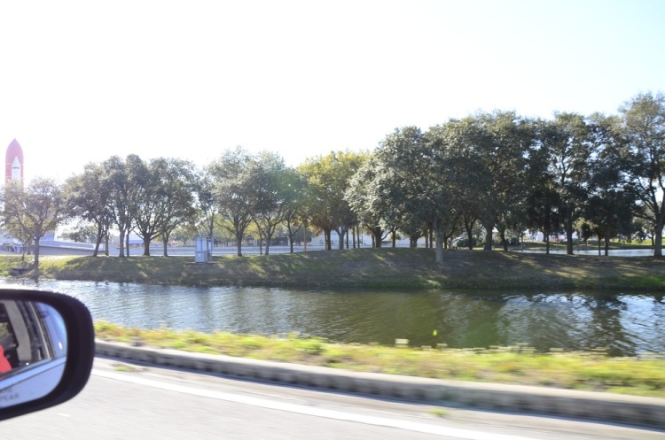 .resize_DSC_8123.JPG