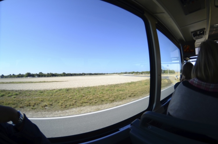 .resize_DSC_7420.JPG