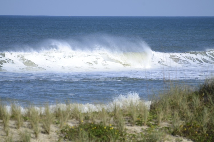 .resize_DSC_7550.JPG