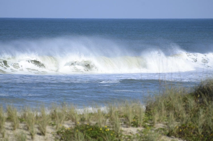 .resize_DSC_7552.JPG