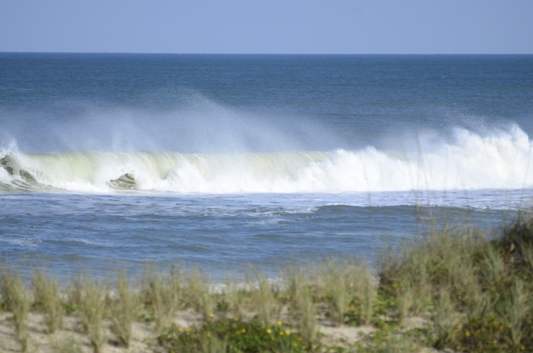 .resize_DSC_7553.JPG