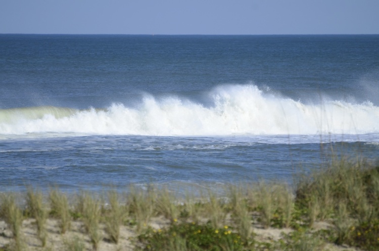 .resize_DSC_7555.JPG