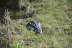 .resize_DSC_7432.JPG