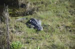 .resize_DSC_7433.JPG