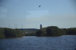 .resize_DSC_7463.JPG