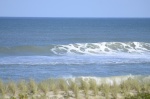 .resize_DSC_7548.JPG