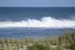 .resize_DSC_7555.JPG