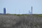 .resize_DSC_7563.JPG