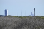 .resize_DSC_7564.JPG