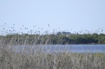 .resize_DSC_7568.JPG