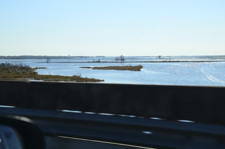 .resize_DSC_6688.JPG