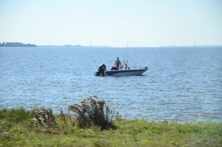 .resize_DSC_6737.JPG