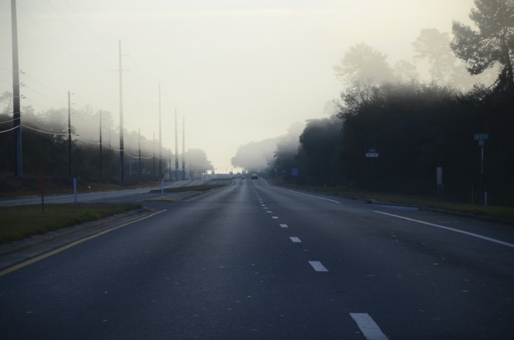 .resize_DSC_7989.JPG