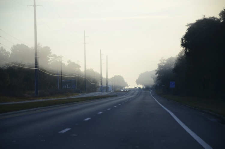 .resize_DSC_7990.JPG