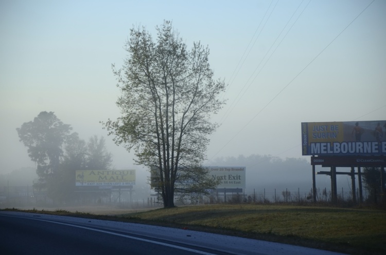 .resize_DSC_7994.JPG