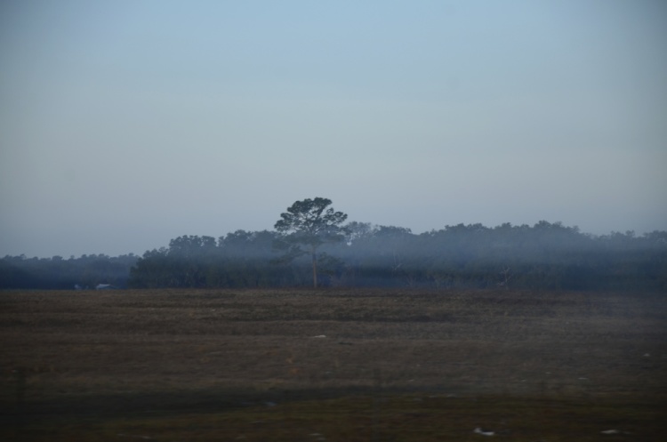 .resize_DSC_7998.JPG