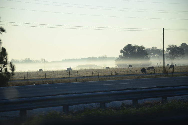 .resize_DSC_8001.JPG