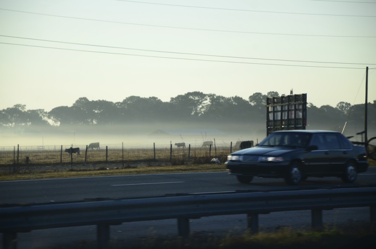 .resize_DSC_8002.JPG