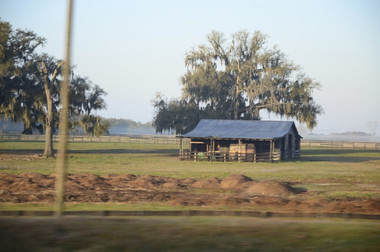 .resize_DSC_8007.JPG
