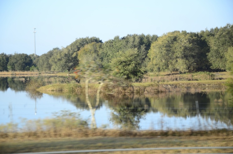 .resize_DSC_8028.JPG