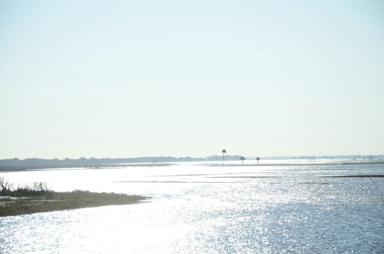 .resize_DSC_8058.JPG