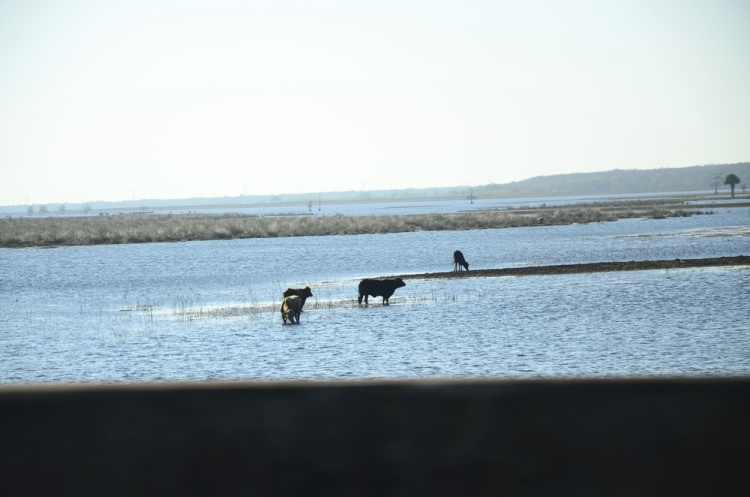 .resize_DSC_8063.JPG