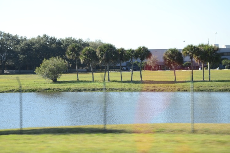 .resize_DSC_8070.JPG