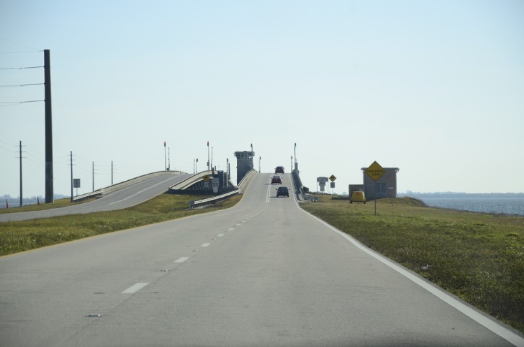 .resize_DSC_8088.JPG