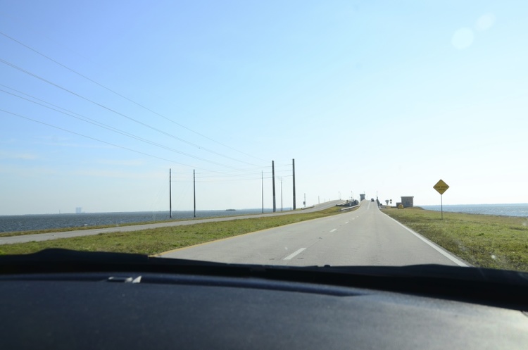 .resize_DSC_8089.JPG
