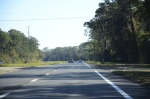 .resize_DSC_6683.JPG
