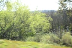 .resize_DSC_6686.JPG