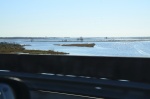 .resize_DSC_6688.JPG