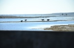 .resize_DSC_6689.JPG