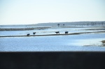 .resize_DSC_6690.JPG