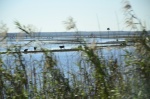 .resize_DSC_6691.JPG