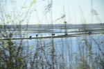 .resize_DSC_6692.JPG
