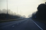 .resize_DSC_7990.JPG