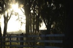 .resize_DSC_7991.JPG